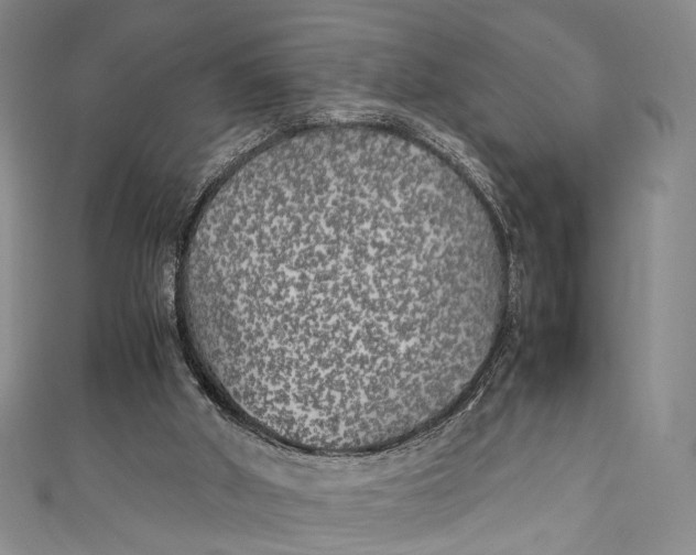 X0000111210010200907221200