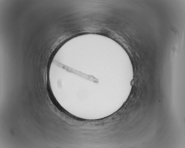 X0000111210011200907221200