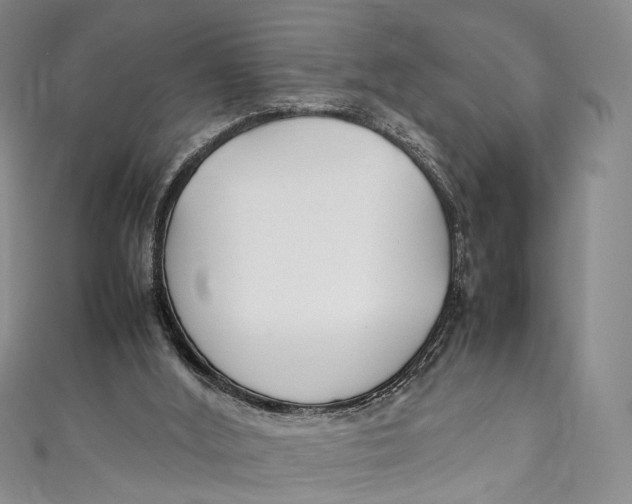 X0000111210012200907221200