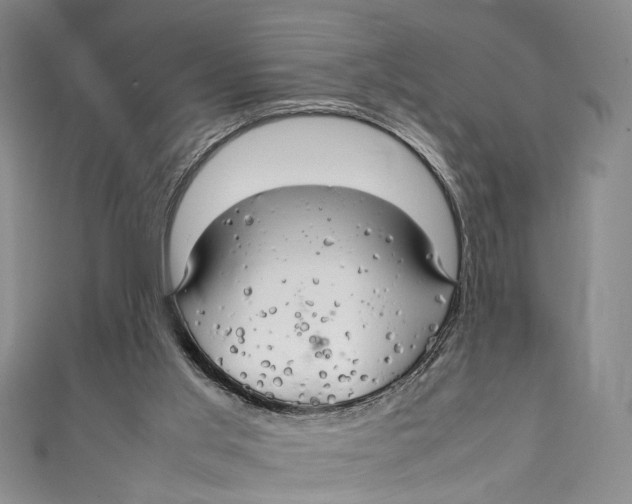 X0000111210013200907221200