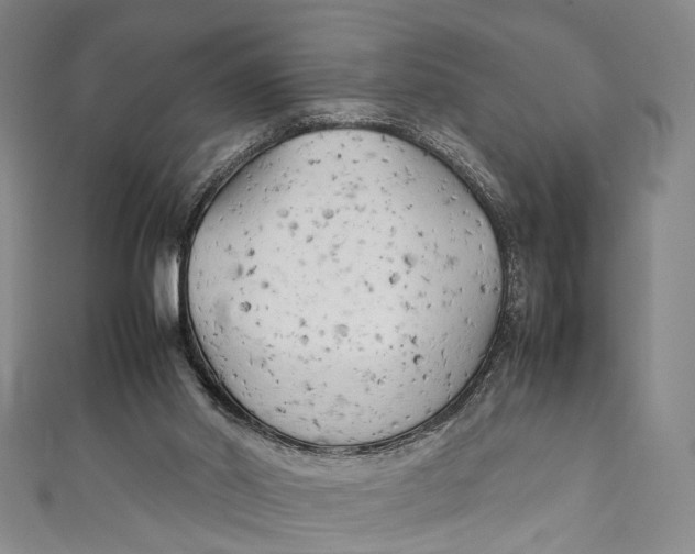 X0000111210014200907221200