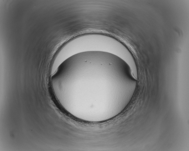 X0000111210015200907221200