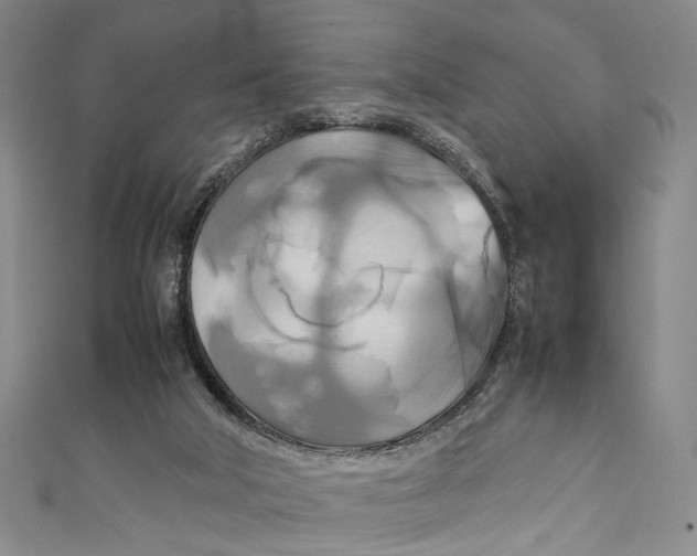 X0000111210018200907221200