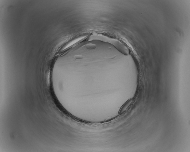 X0000111210019200907221200