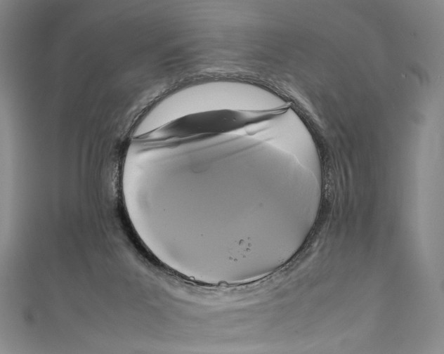 X0000111210023200907221200