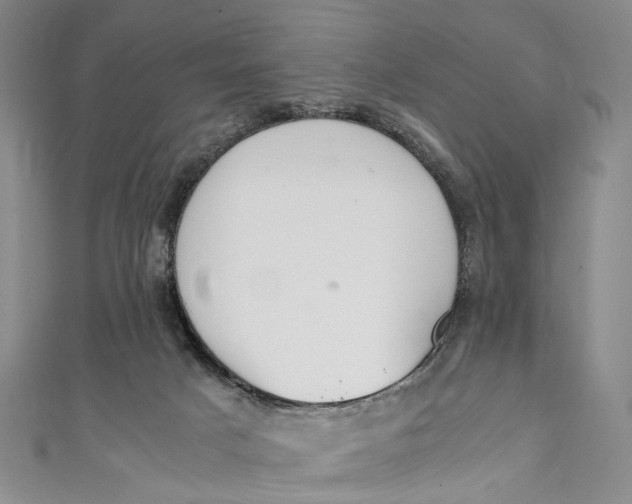 X0000111210025200907221200