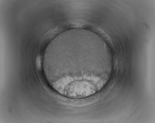 X0000111210026200907221200