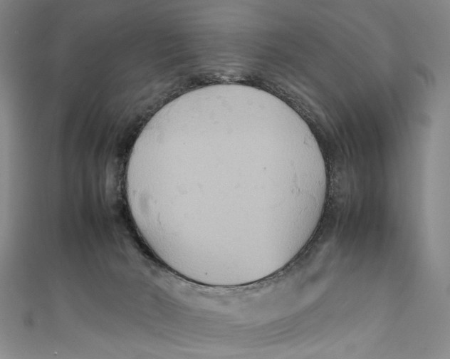 X0000111210030200907221200