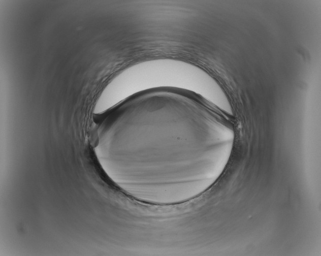 X0000111210031200907221200