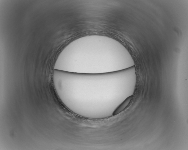 X0000111210033200907221200