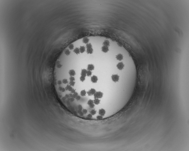 X0000111210034200907221200