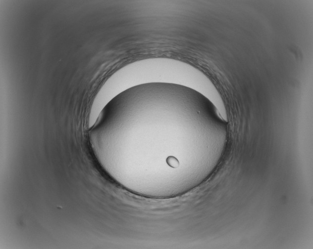 X0000111210035200907221200