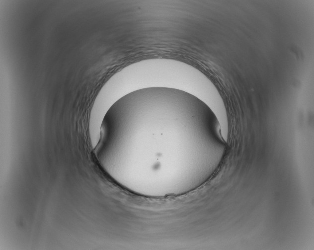 X0000111210037200907221200