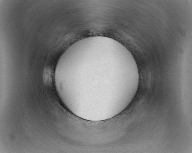 X0000111210038200907221200