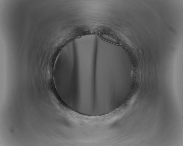 X0000111210039200907221200