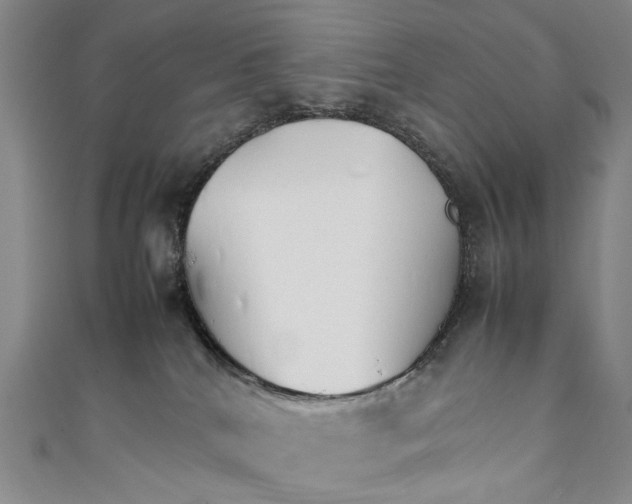 X0000111210040200907221200