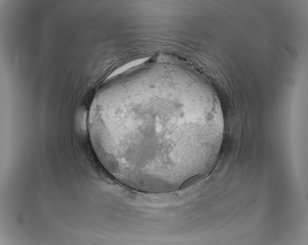 X0000111210041200907221200