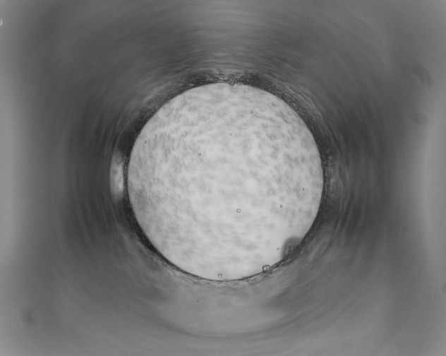 X0000111210042200907221200