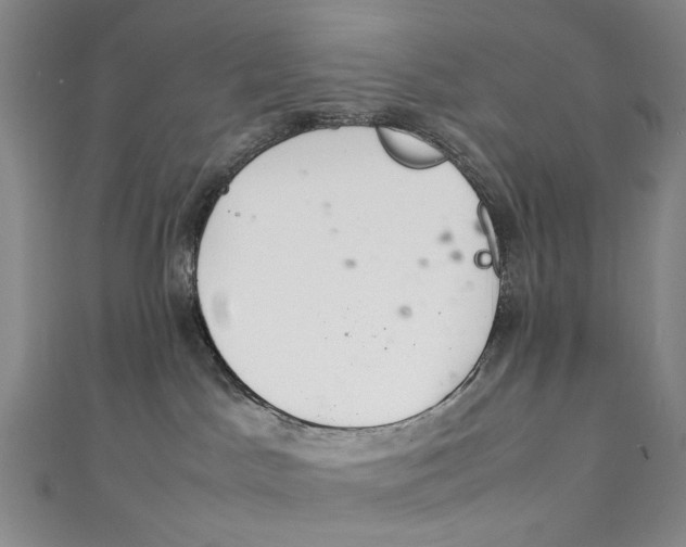 X0000111210045200907221200