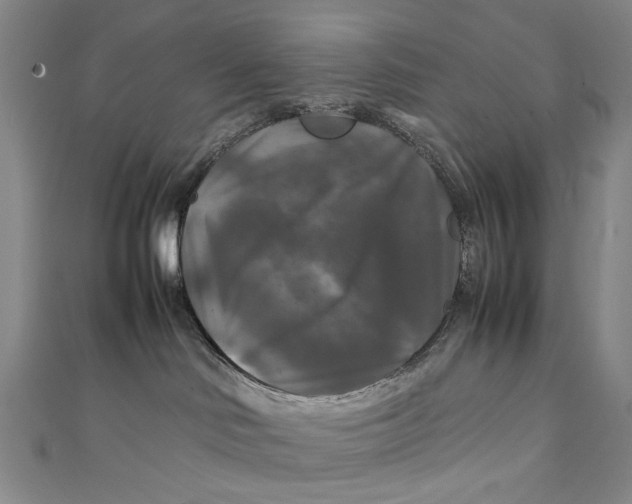 X0000111210046200907221200