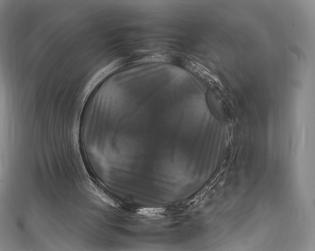 X0000111210051200907221159