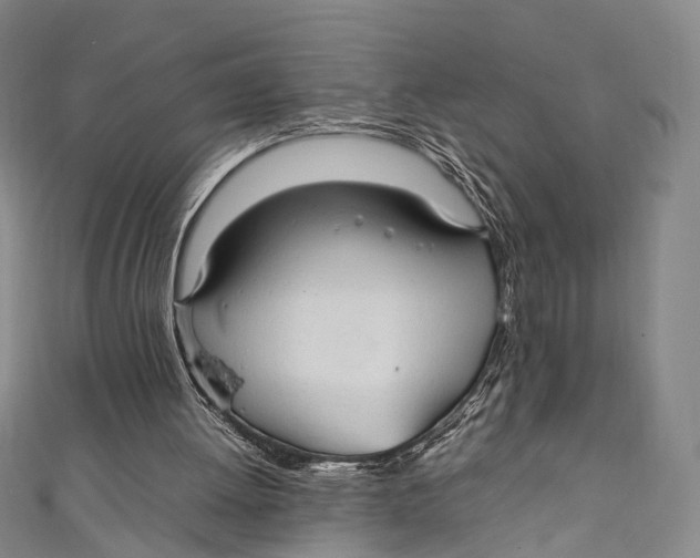 X0000111210052200907221159