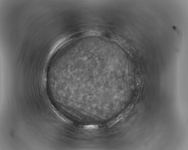 X0000111210053200907221159