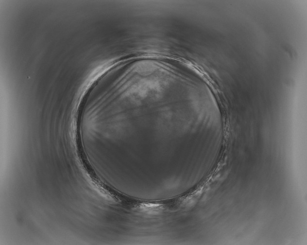 X0000111210055200907221159