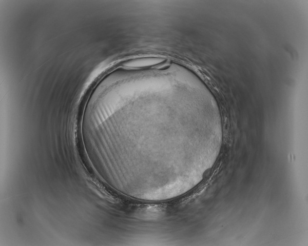 X0000111210056200907221159