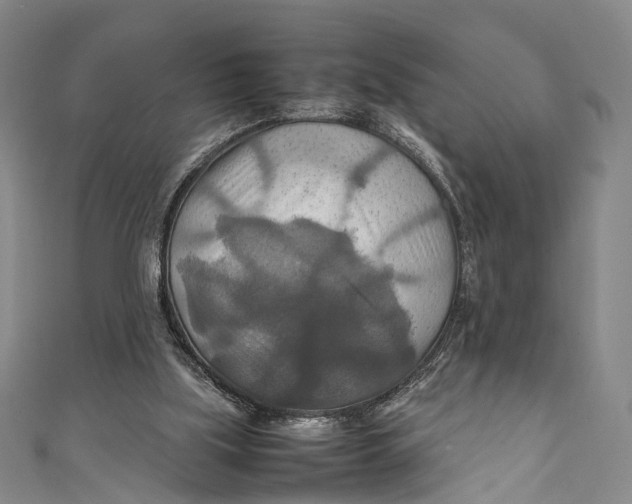 X0000111210059200907221159