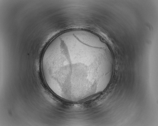 X0000111210060200907221159