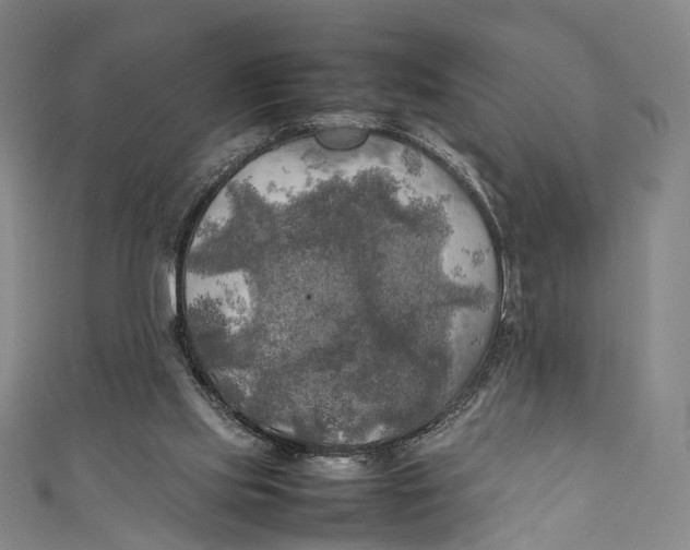 X0000111210061200907221159