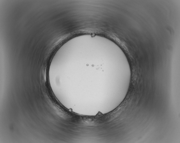 X0000111210062200907221159