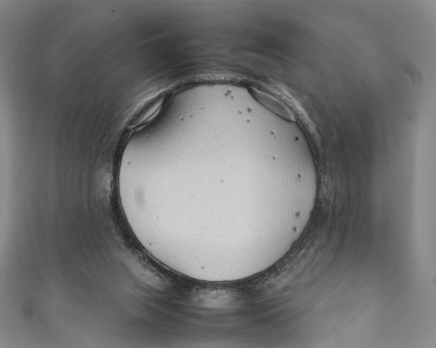 X0000111210063200907221159