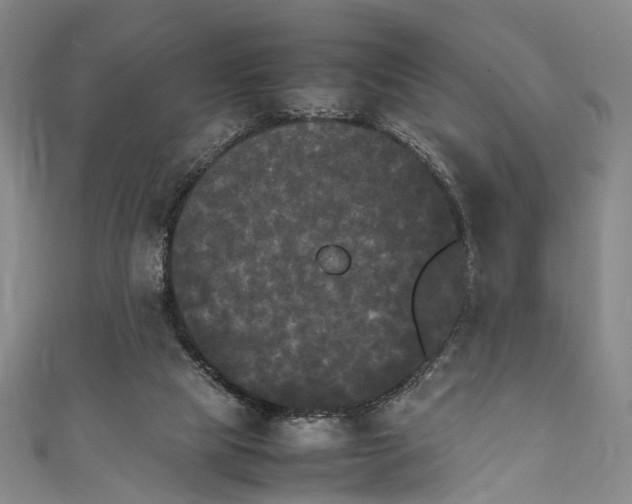 X0000111210065200907221159