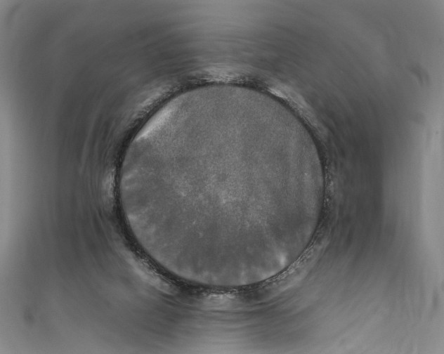 X0000111210066200907221159