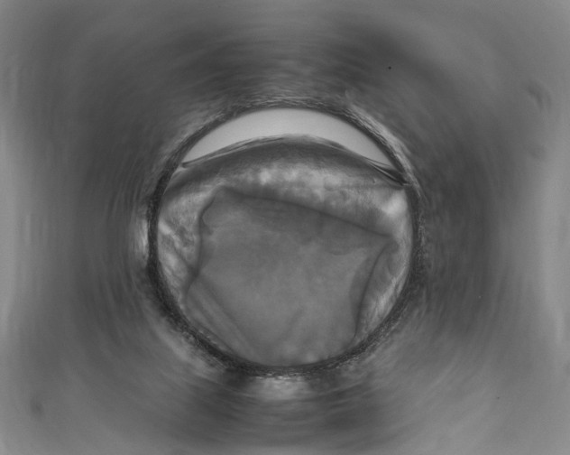 X0000111210067200907221159