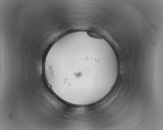 X0000111210068200907221159