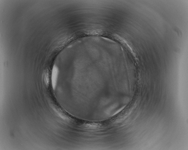 X0000111210069200907221159