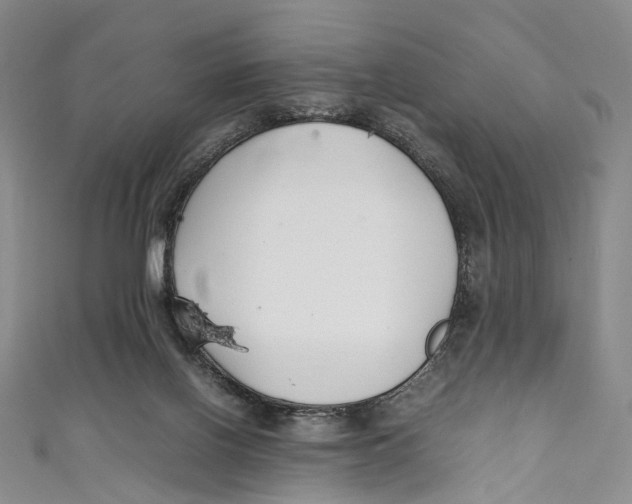 X0000111210070200907221159