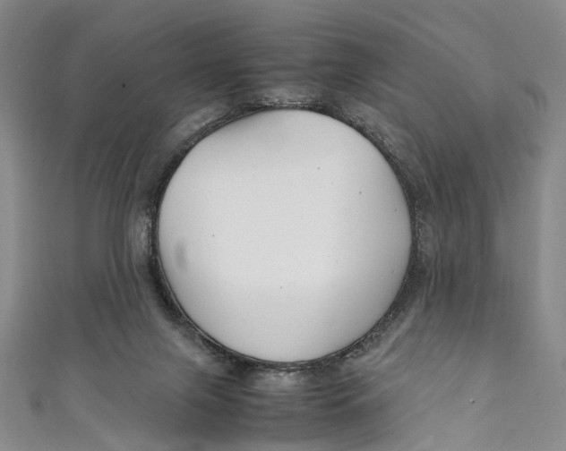 X0000111210071200907221159