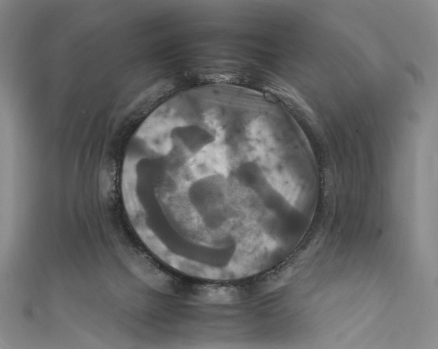 X0000111210073200907221159