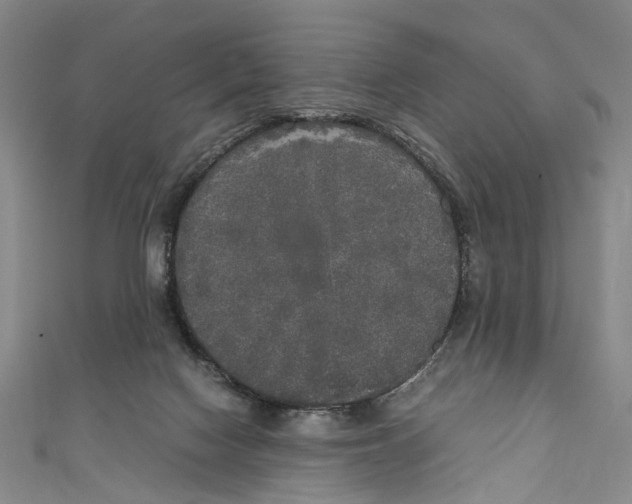 X0000111210074200907221159