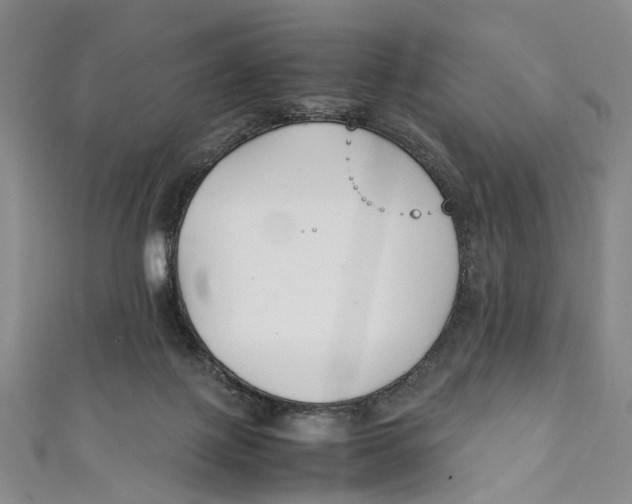 X0000111210075200907221159