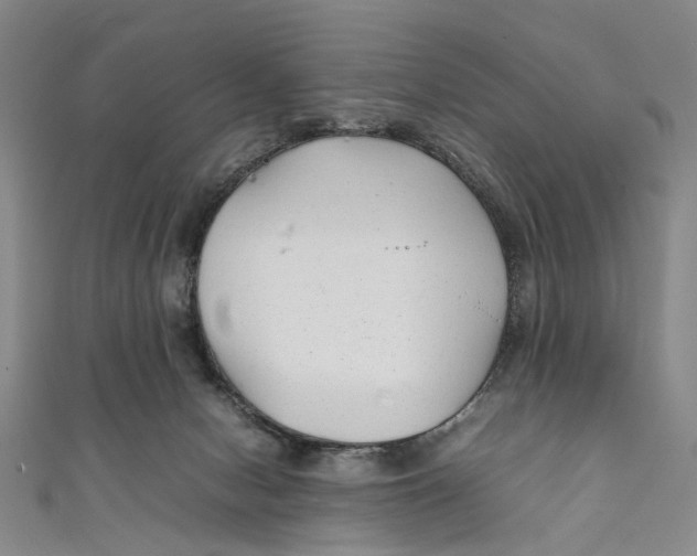 X0000111210078200907221159