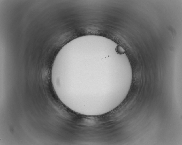 X0000111210079200907221159