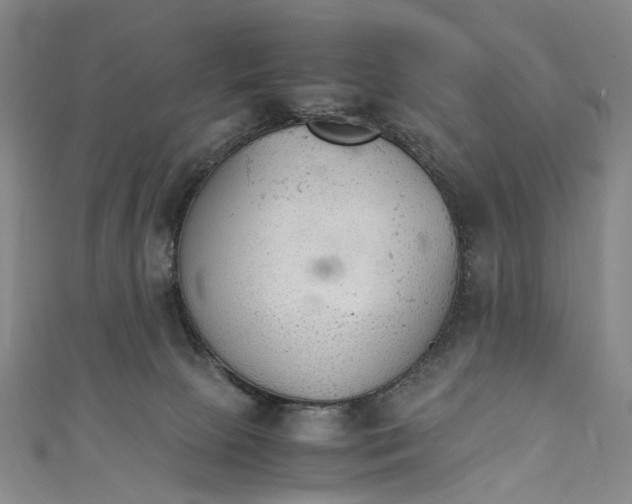 X0000111210081200907221159