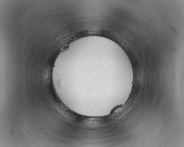 X0000111210082200907221159