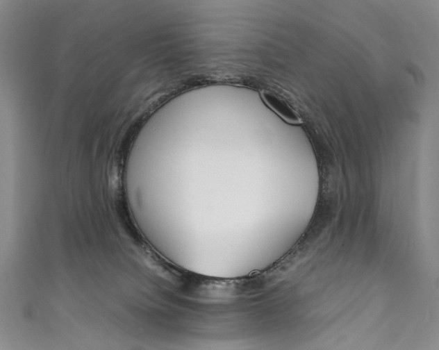 X0000111210084200907221159