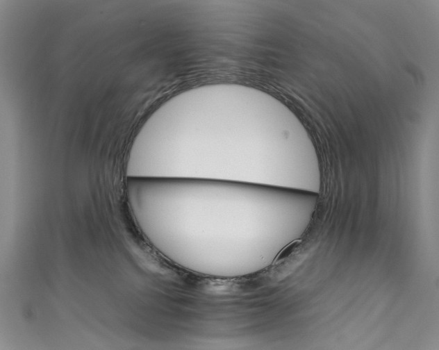 X0000111210088200907221159